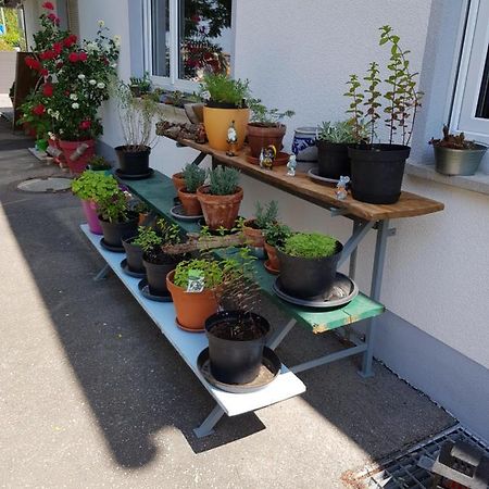 Ferienwohnung Namaste Langenargen Exterior foto